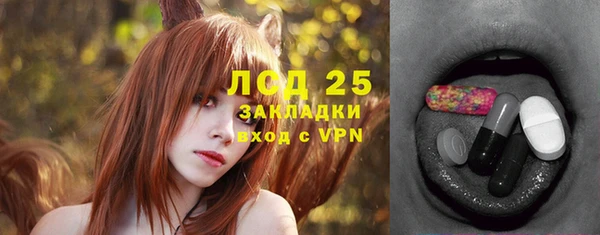 прущие грибы Новодвинск