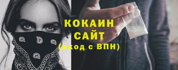 МДПВ Нея