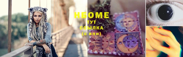 прущие грибы Новодвинск