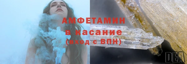 прущие грибы Новодвинск