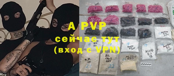 марки lsd Новозыбков