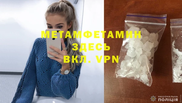 прущие грибы Новодвинск