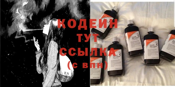 прущие грибы Новодвинск