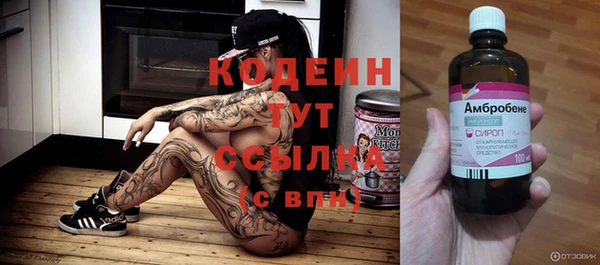 прущие грибы Новодвинск