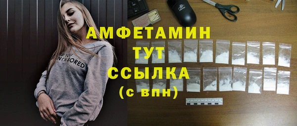 прущие грибы Новодвинск