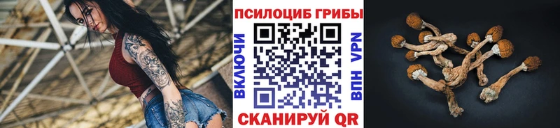 дарнет шоп  Урюпинск  мега как зайти  Псилоцибиновые грибы Cubensis 