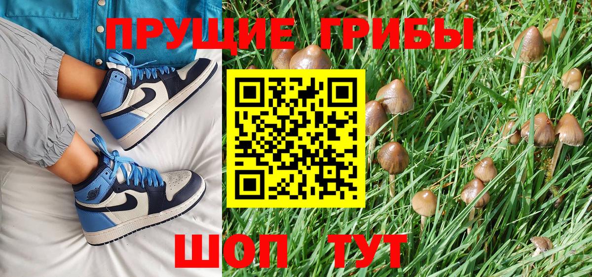 Псилоцибиновые грибы Magic Shrooms  Вход с VPN  Псилоцибиновые грибы MAGIC MUSHROOMS  Урюпинск 